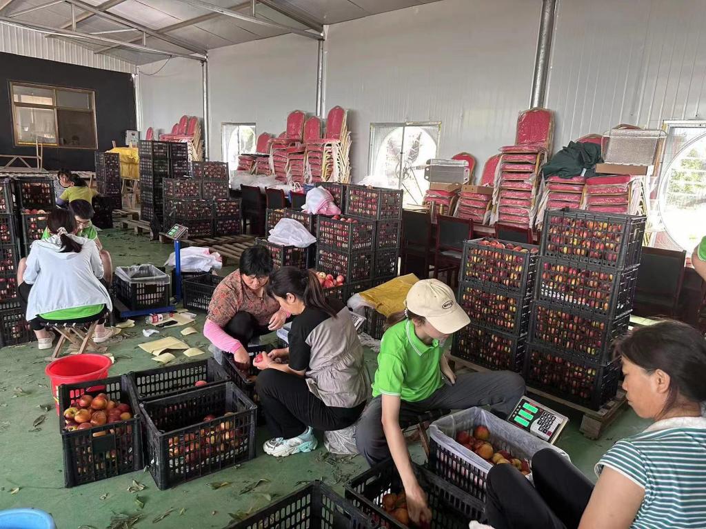 微信图片_20230803163859.jpg 微信图片_20230803163859.jpg